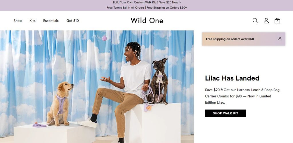 ecommerce landing page example
